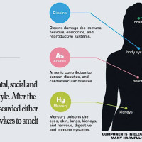 China to launch population sample survey