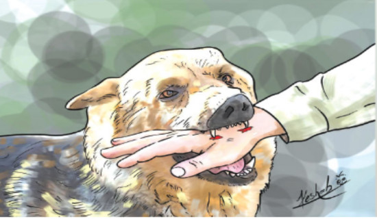 Rabies infection challenge increasing in Sudurpaschim