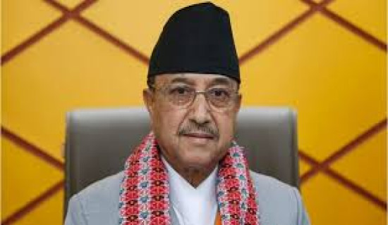 NC acting president Khadka urges cadres to involve in election activities