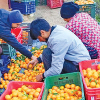 Gorkha Municipality creating murals reflecting its history