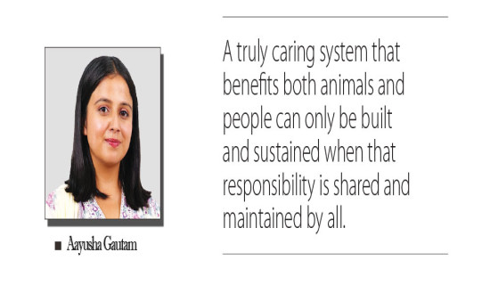 Spotlight On Nepal-China Relations