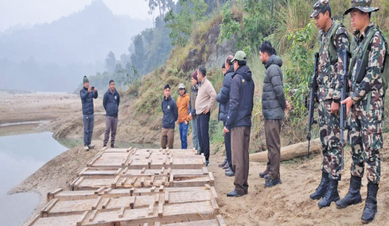 Gharial hatchlings released into Babai River