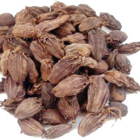 Bipin Joshi's mother, sister fly to US to push for his release