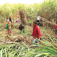 CPN (US) to launch awareness drive in Tanahu