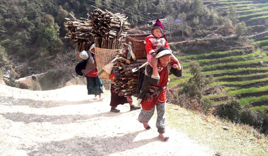 Women returning home with a load of firewood