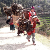 Two-year-old girl dies after being hit by tractor