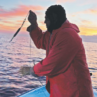 Mango production in Saptari expected to increase this year