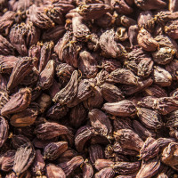 Only once a week flight to Tarigaon