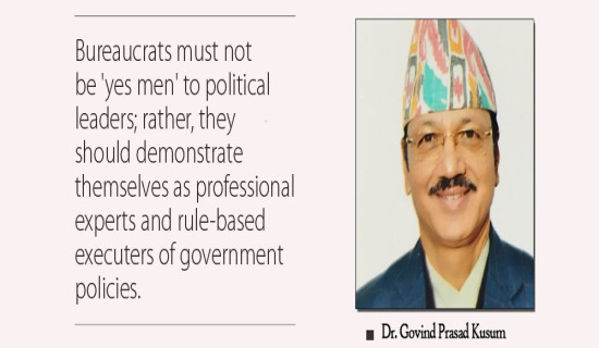 Civil Service As Shock Absorber