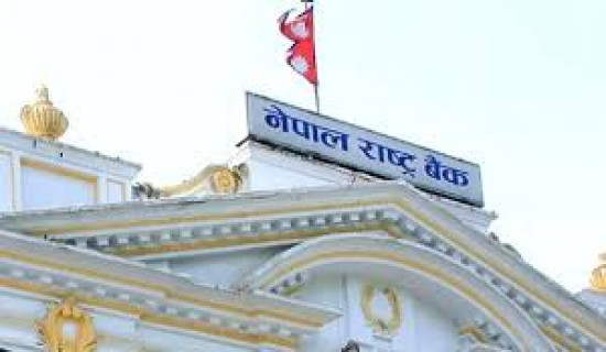 NRB releases strategic analyses report on virtual asset