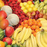 Amazing pictures of new species found in Pacific Ocean