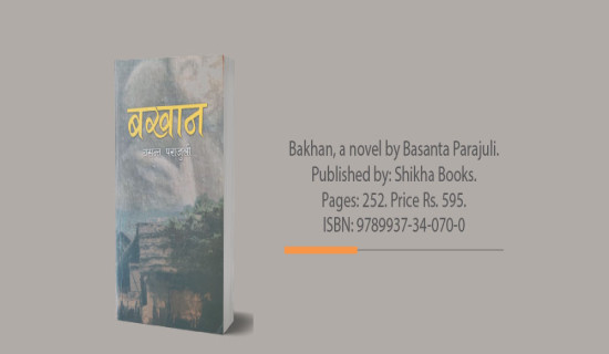 Can Junk Food Tax Improve Health?