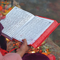 Syangja produces oranges worth Rs. 1.32 billion