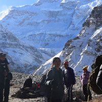 Syangja produces oranges worth Rs. 1.32 billion