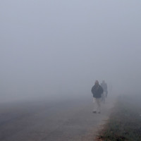 Silent demise of rangelands threatens climate, food security: UN report