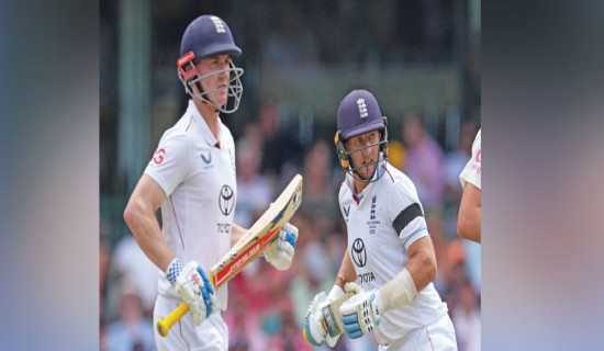 Homework On Electoral System Reform