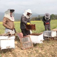 Today's need is to unite communists: Chair Prachanda