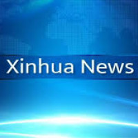 Suhang Nembang's journey from lawyer to legislator