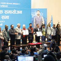 Farmers rue over Indian banana import