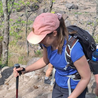 Revenue collection records slight improvement