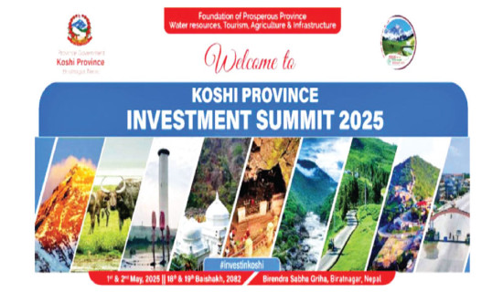 Nine months after Koshi investment summit, only one project operational