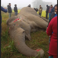 Koshi Province CM Karki expands cabinet