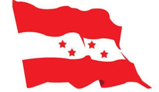 NC to ally with other parties for upper house member election