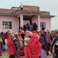 Nurturing Enlightened Cultural Roots