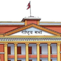 Without elections, there is no democracy: Shrestha