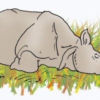 Former PM Prachanda views on need to strengthen Nepal-India relations