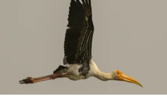 Prosperity possible thru tourism: General Secretary Gurung