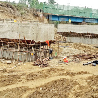 Govt appoints three members to NPC