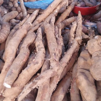 Initiative to conserve historic Panchdhare Pokhari