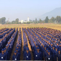 Govt appoints three members to NPC