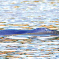 First 'Pokhara-Chengdu' commercial flight takes place