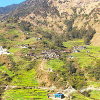 Forest fire along East-West Highway  affects vehicle operation in Rautahat