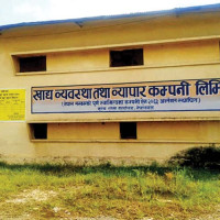 NOC must enhance competitiveness: Minister Sinha