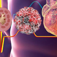 Fulpati received at Dashainghar