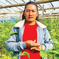 85 persons apply to withdraw names from closed PR lists