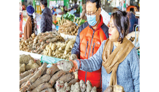Yam supply surges for Maghe Sankranti