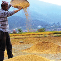 Discussions ongoing on reports in NC's Special General Convention