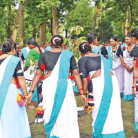 Gandaki Province moves to legalise cannabis cultivation