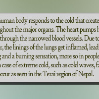 South Korea court reinstates PM as acting leader