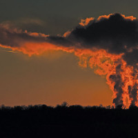 PM Oli opens paper mill in Ramnagar of Mahottari