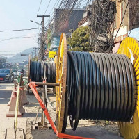 Oilseed farming on the rise in Bara