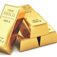 Food Festival in Beni from today