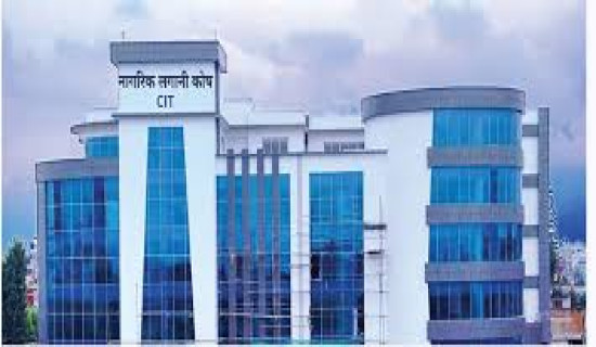 CIT's net profit last fiscal year stands over Rs 1.25 billion