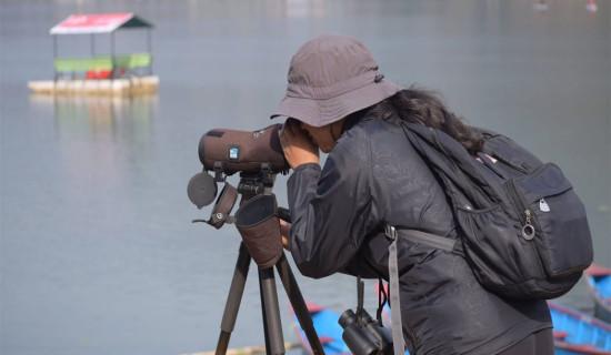 Aquatic bird number rises, species diversity declines in Pokhara
