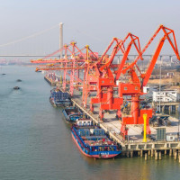 Dharmendra discharged, family decides to take him home: doctor