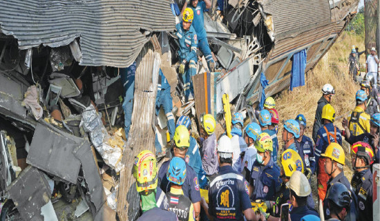 A zoo in Spain helps elderly elephants